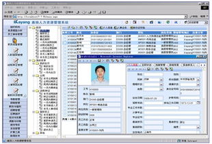 人力資源管理軟件的技術(shù)規(guī)范與技術(shù)轉(zhuǎn)讓